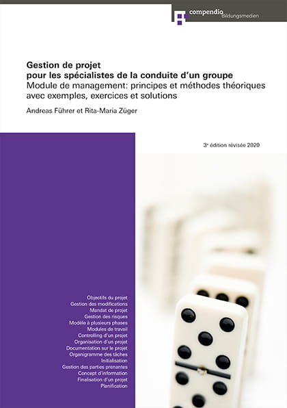 Gestion de projet pour les spécialistes de la conduite d´un groupe (E-Book)