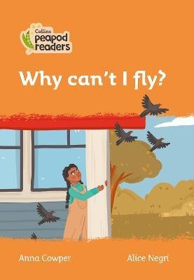 Why can´t I fly?