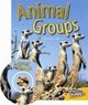 Animal Groups