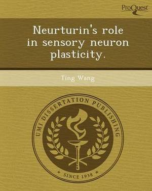 Neurturin's Role in Sensory Neuron Plasticity