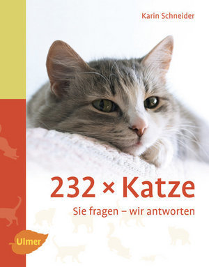 232 x Katze