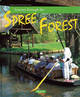 Journey through the Spree Forest