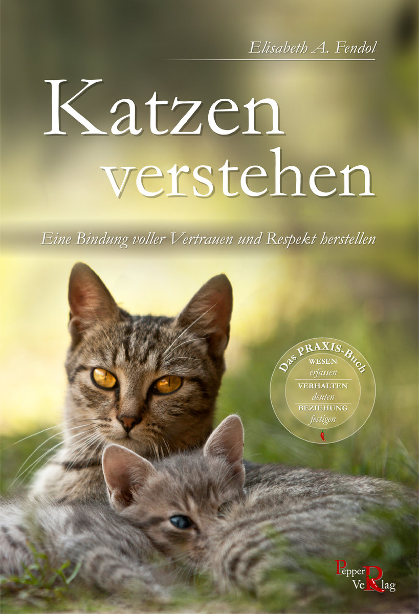 Katzen verstehen